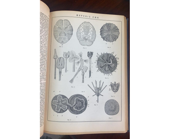 Новая Энциклопедия Брокгауза и Ефрона в 29 томах