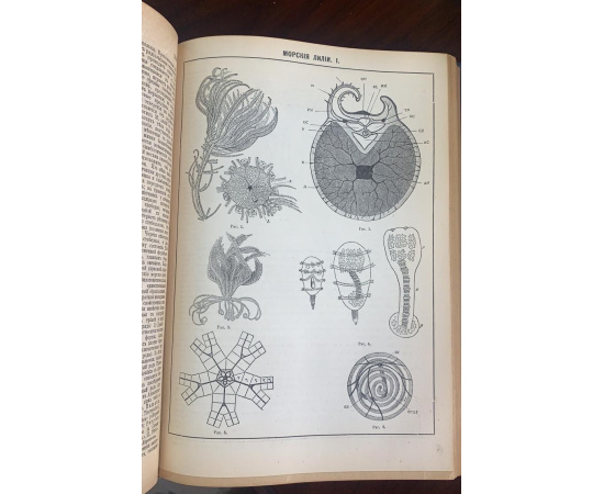 Новая Энциклопедия Брокгауза и Ефрона в 29 томах