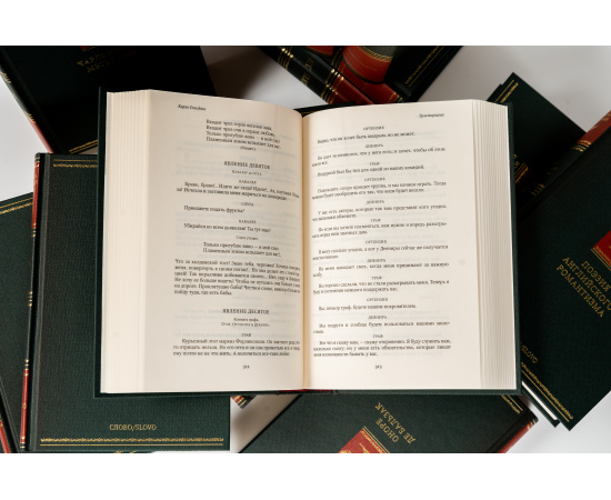 Библиотека зарубежной классики. Комплект 100 томов.